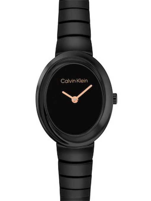 Часы Calvin Klein модель 25100150 Фото