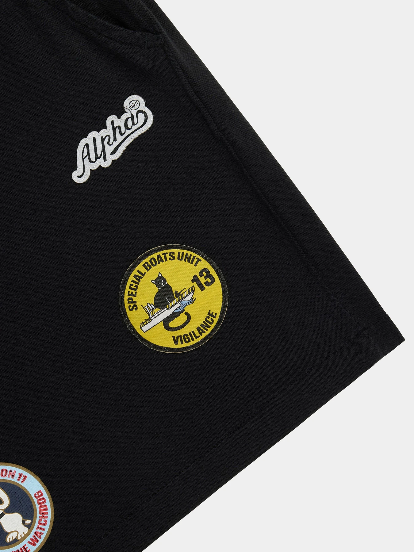 Шорты Alpha Industries модель MBP56000C1_001 Шорты Alpha Industries модель MBP56000C1_001 Фото