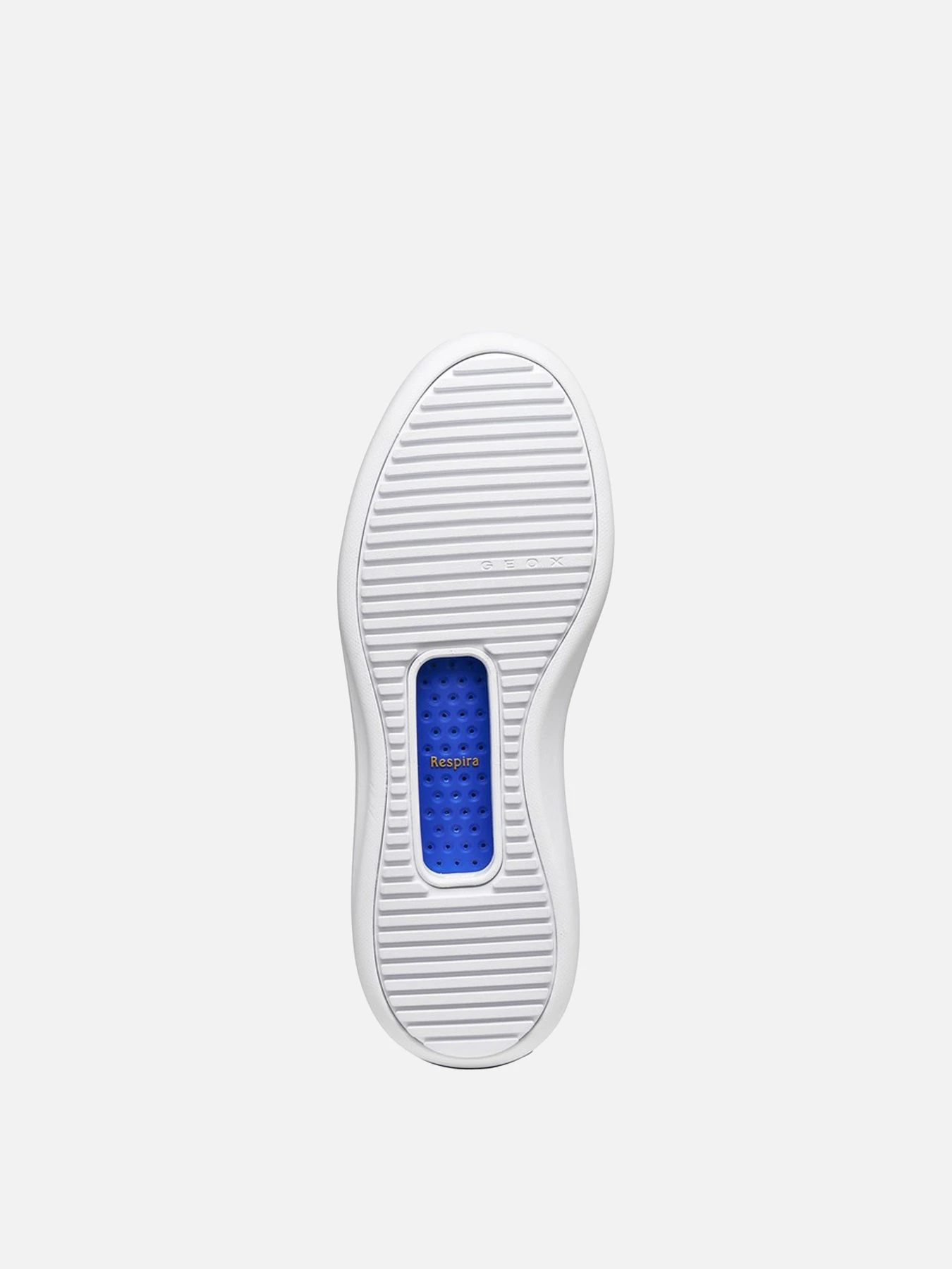Кроссовки Geox модель D65AJA-08522-C1S5V Кроссовки Geox модель D65AJA-08522-C1S5V Фото