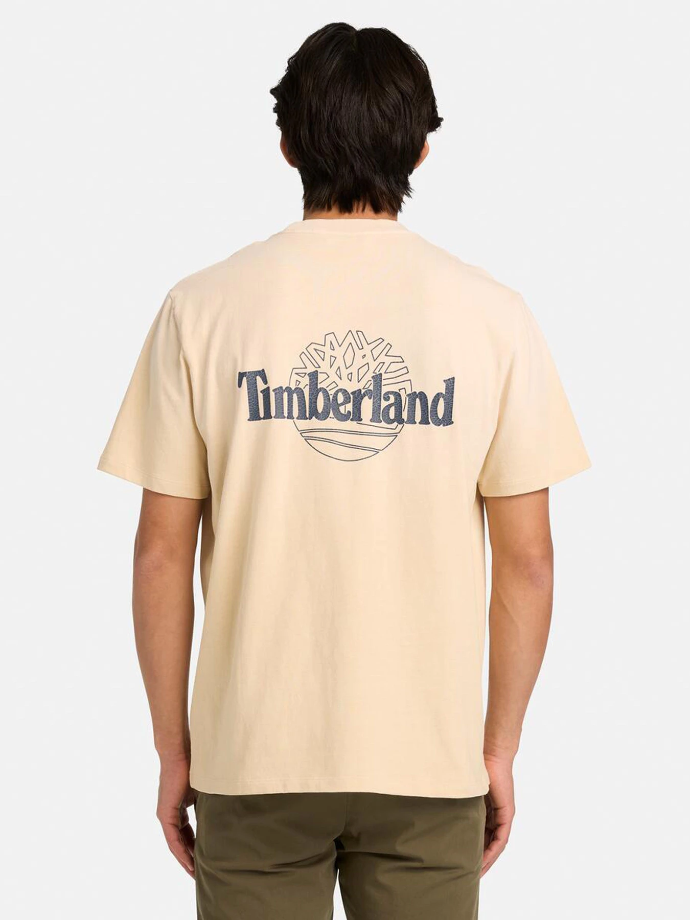Футболки и поло Timberland модель TB0A5MMM260 Футболки и поло Timberland модель TB0A5MMM260 Фото