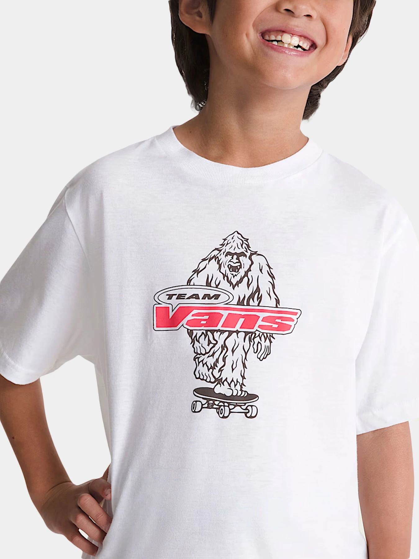 Футболки и поло Vans модель VN000TBBWHT1 Футболки и поло Vans модель VN000TBBWHT1 Фото