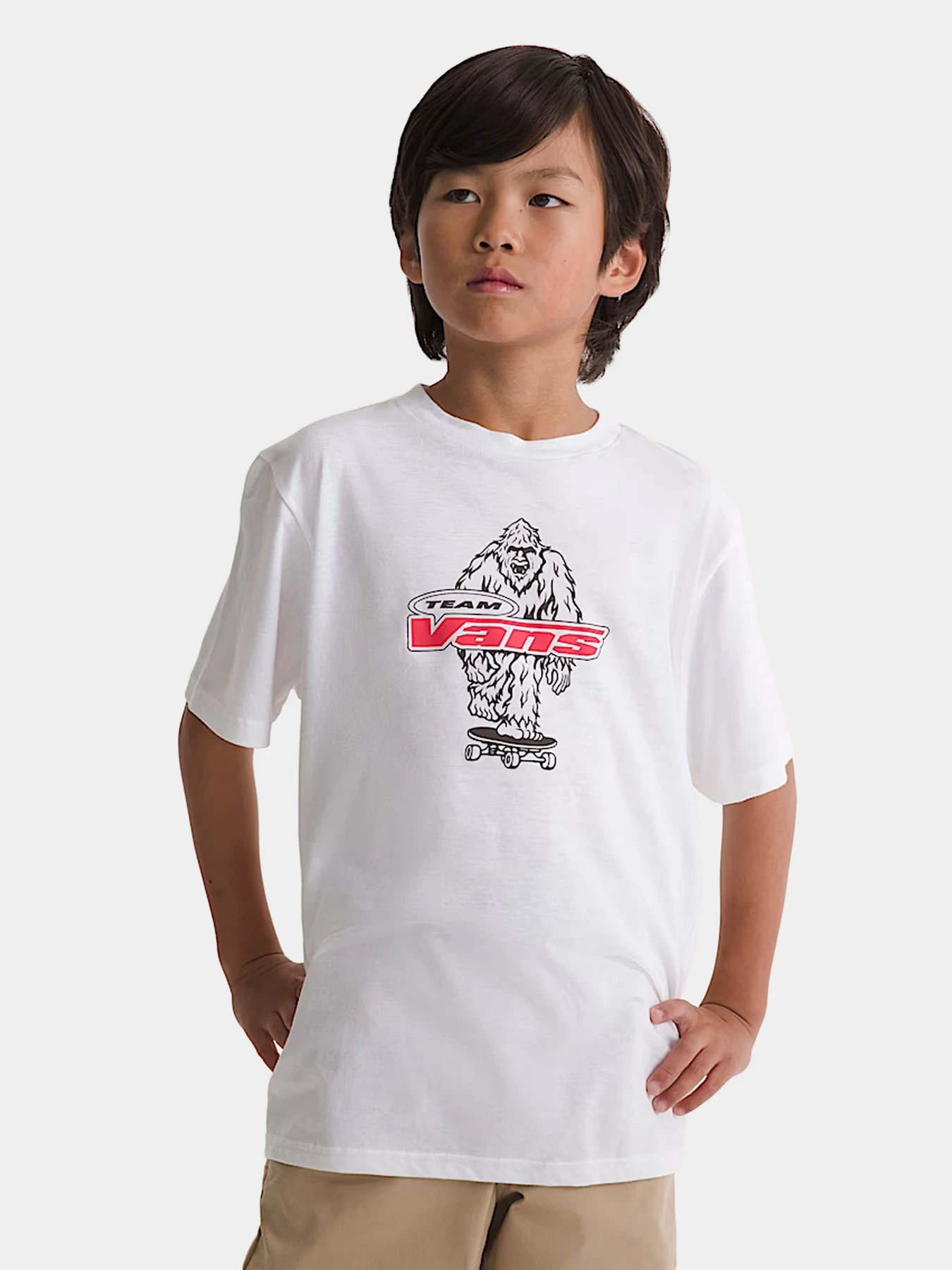Футболки и поло Vans модель VN000TBBWHT1 Футболки и поло Vans модель VN000TBBWHT1 Фото