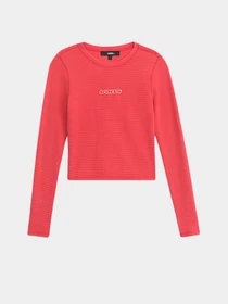 Худи и свитшоты Vans модель VN000TBQFO91 Фото