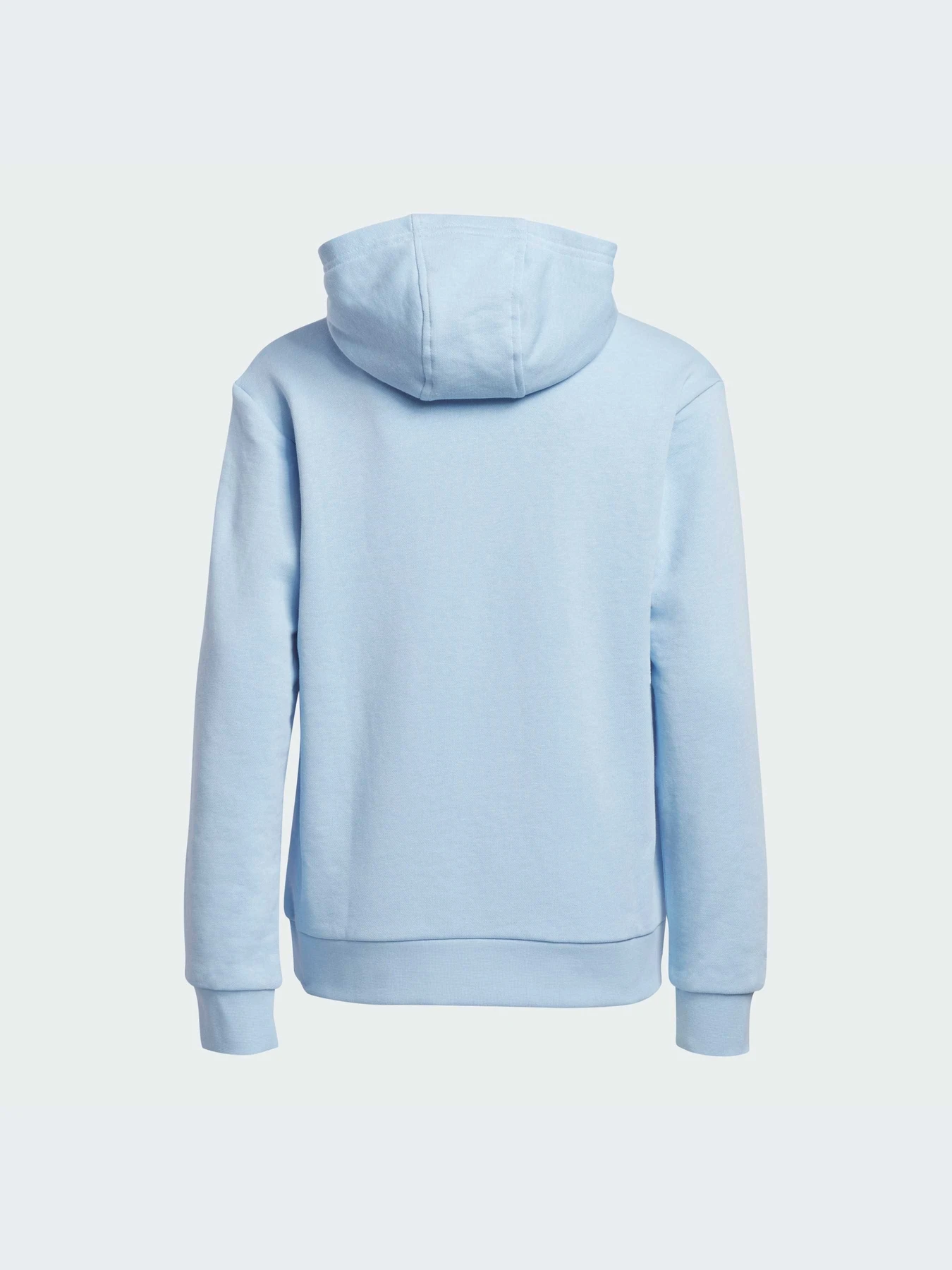 Худи и свитшоты Adidas Adicolor модель FI0694-KZ Худи и свитшоты Adidas Adicolor модель FI0694-KZ Фото