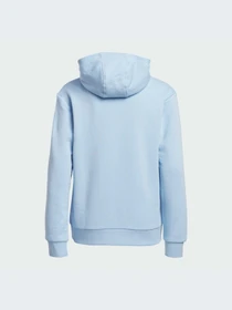 Худи и свитшоты Adidas Adicolor модель FI0694-KZ Фото