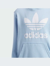 Худи и свитшоты Adidas Adicolor модель FI0694-KZ Фото