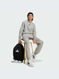 Брюки Adidas модель JC7640-KZ Фото