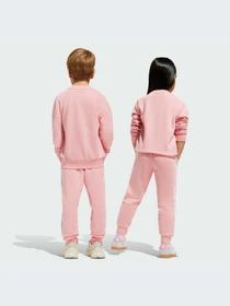 Костюмы Adidas Adicolor модель JC6613-KZ Фото