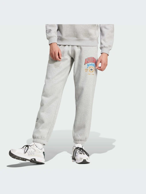 Брюки Adidas Graphics модель IX6774-KZ Фото