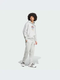 Брюки Adidas Graphics модель IX6774-KZ Фото