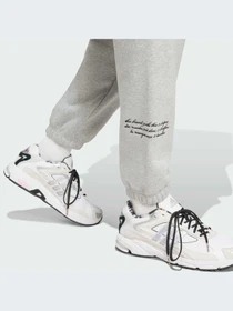Брюки Adidas Graphics модель IX6774-KZ Фото
