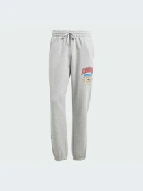 Брюки Adidas Graphics модель IX6774-KZ Фото