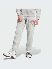 Брюки Adidas Graphics модель IX6774-KZ Фото
