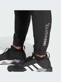 Брюки Adidas модель JY3550-KZ Фото