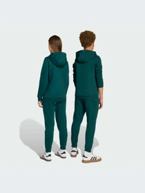Брюки Adidas модель JX2745-KZ Фото
