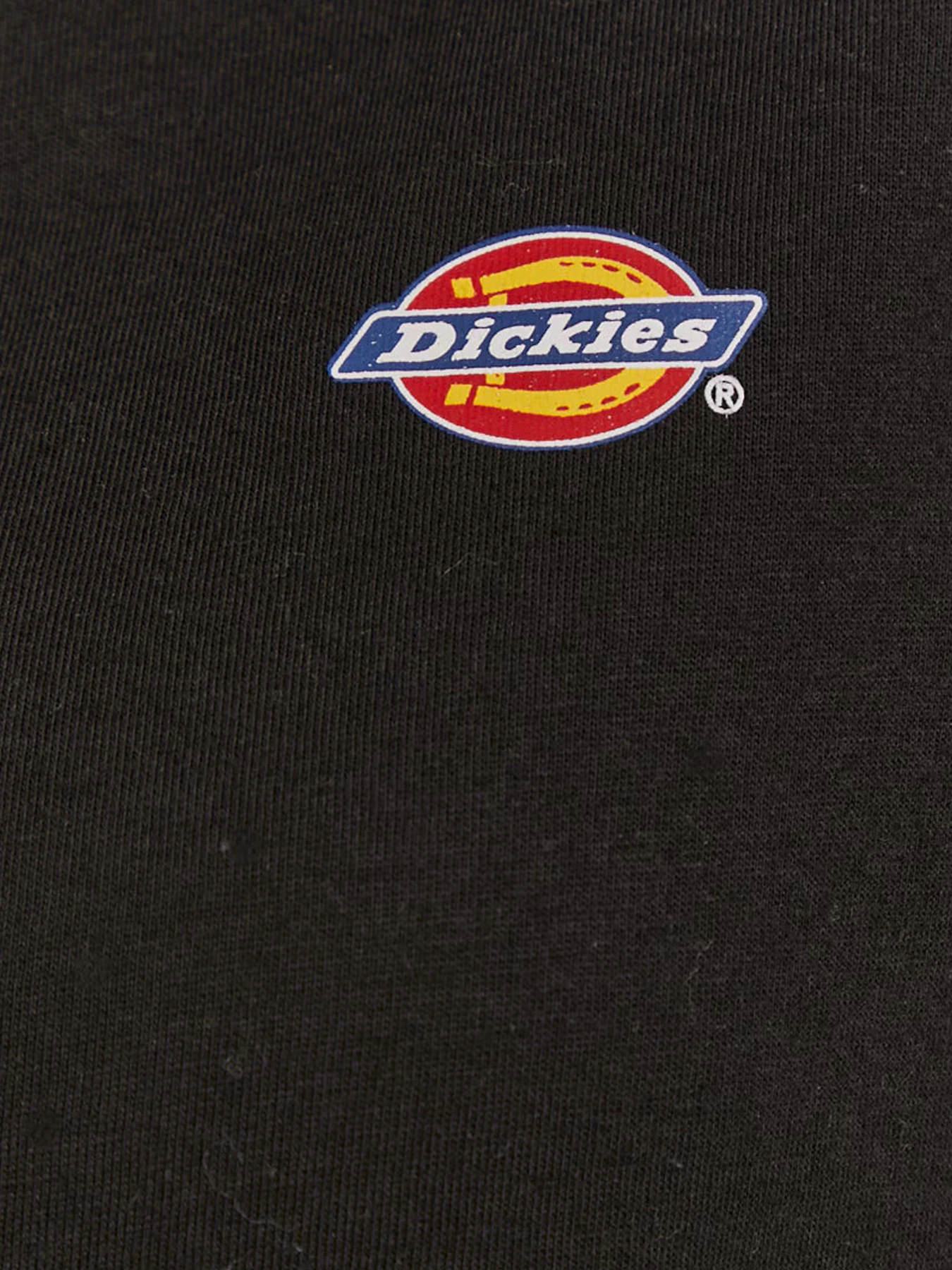 Футболки и поло Dickies модель DK0A4XDABLK1 Футболки и поло Dickies модель DK0A4XDABLK1 Фото