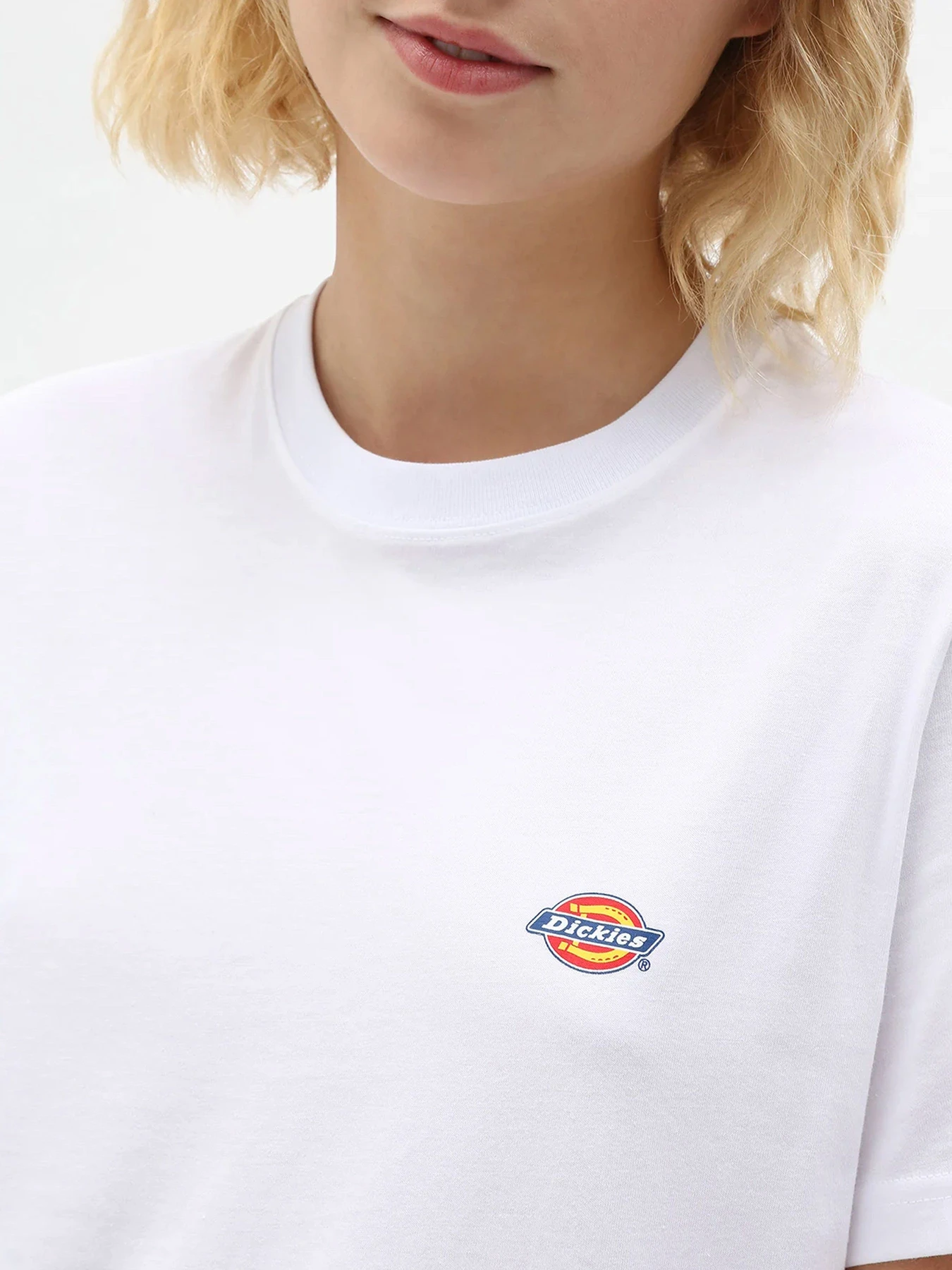 Футболки и поло Dickies модель DK0A4XDAWHX1 Футболки и поло Dickies модель DK0A4XDAWHX1 Фото
