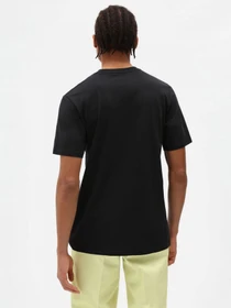 Футболки и поло Dickies модель DK0A4XDBBLK1 Фото