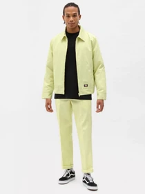 Футболки и поло Dickies модель DK0A4XDBBLK1 Фото