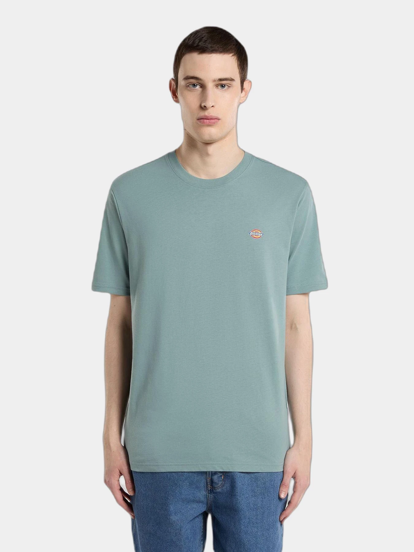 Футболки и поло Dickies модель DK0A4XDBL371 Футболки и поло Dickies модель DK0A4XDBL371 Фото