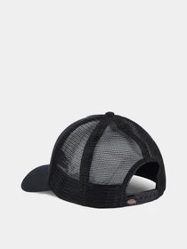 Шапки и кепки Dickies модель DK0A4YV3BLK1 Фото