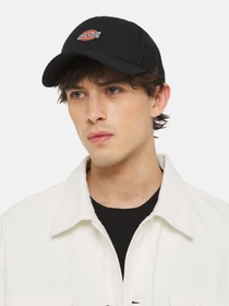 Шапки и кепки Dickies модель DK0A4YV3BLK1 Фото