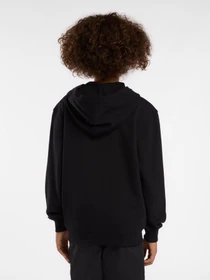 Худи и свитшоты Dickies модель DK0A4Z6WBLK1 Фото
