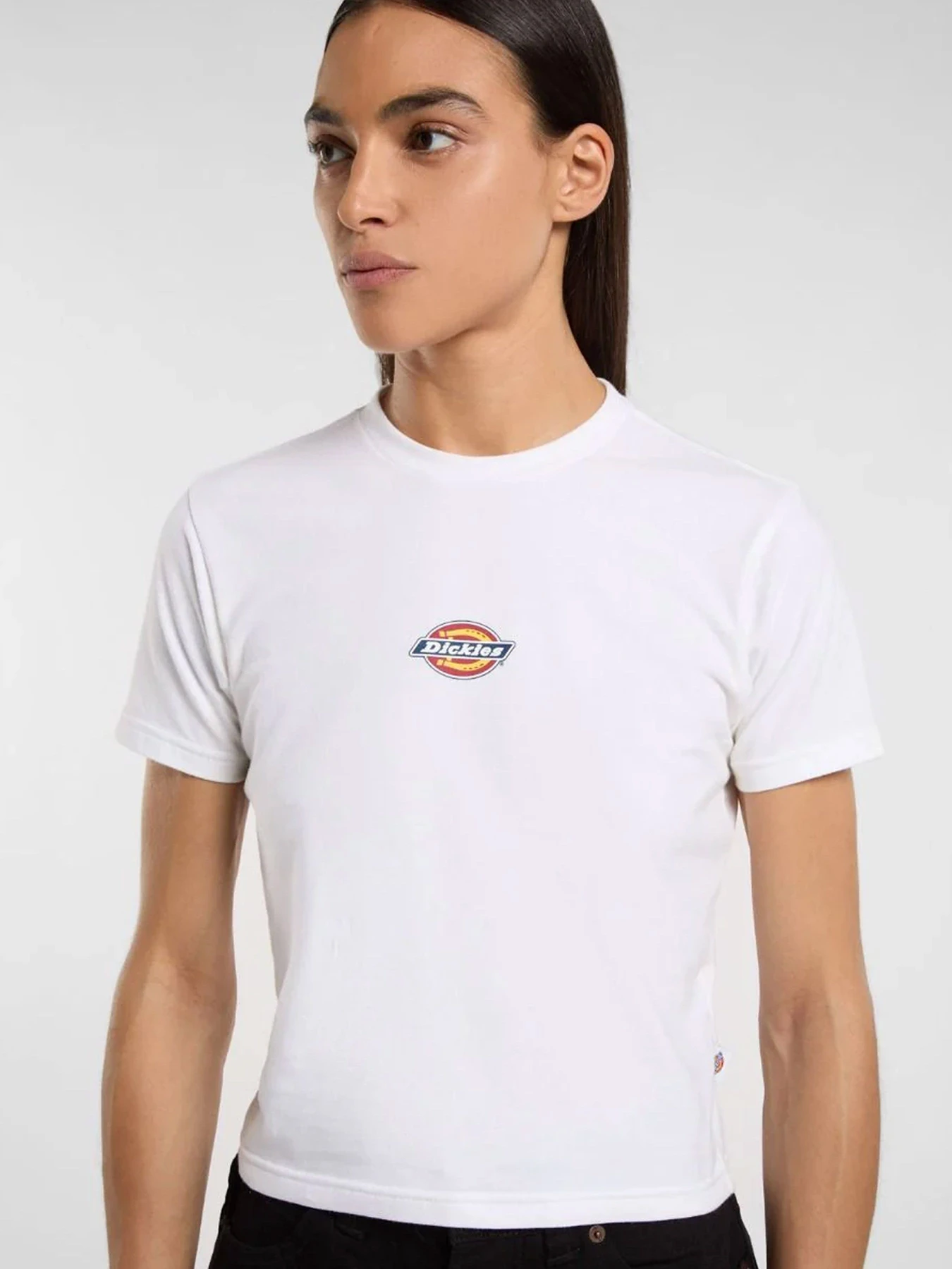 Футболки и поло Dickies модель DK0A4ZAO0WH1 Футболки и поло Dickies модель DK0A4ZAO0WH1 Фото
