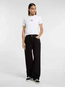 Футболки и поло Dickies модель DK0A4ZAO0WH1 Фото