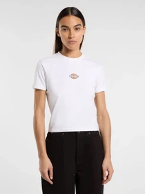 Футболки и поло Dickies модель DK0A4ZAO0WH1 Фото