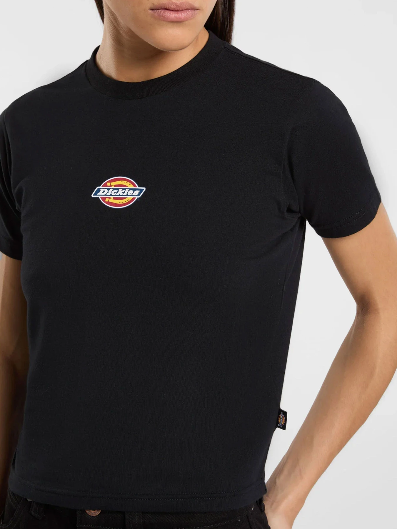 Футболки и поло Dickies модель DK0A4ZAOBLK1 Футболки и поло Dickies модель DK0A4ZAOBLK1 Фото