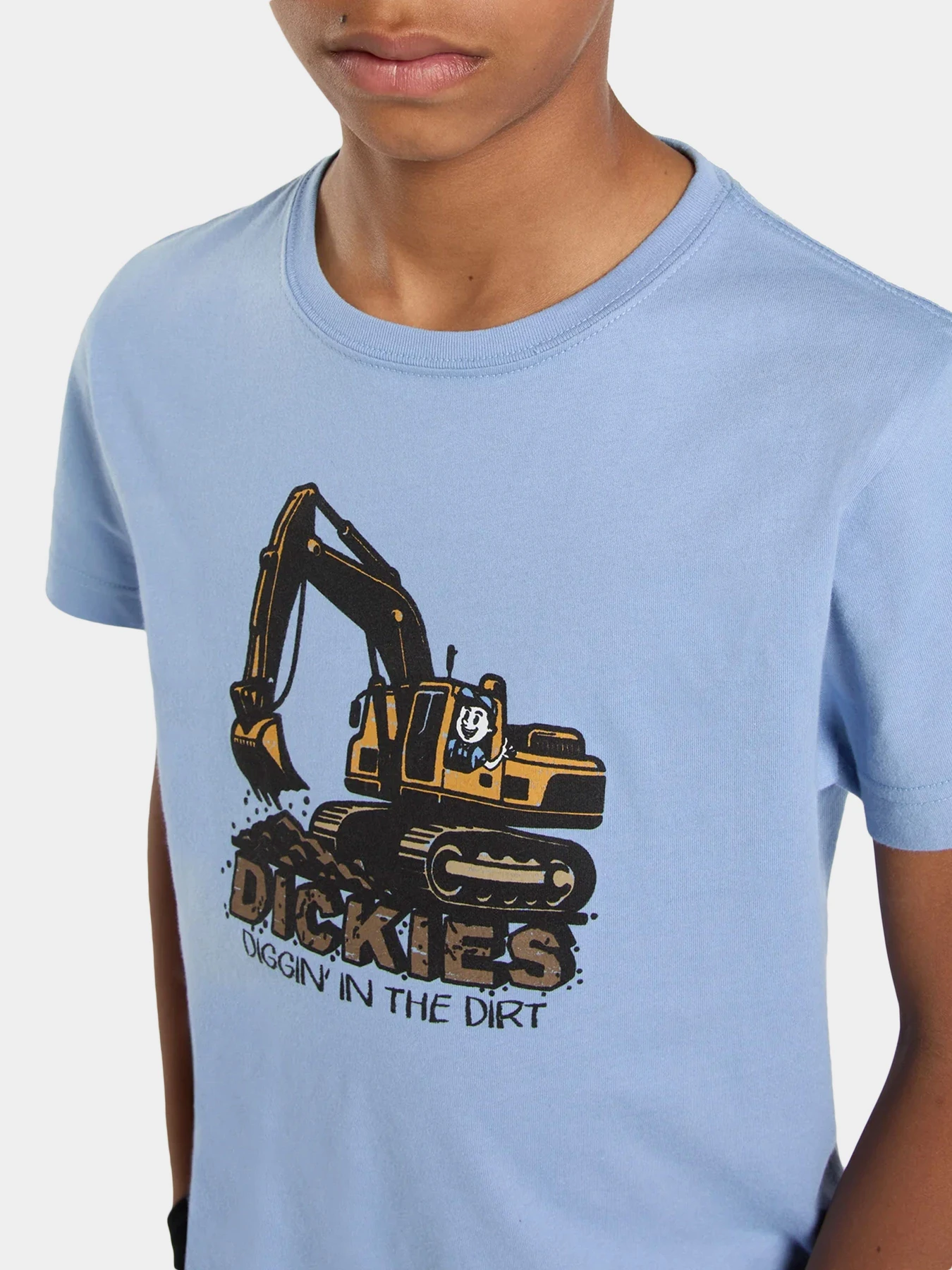 Футболки и поло Dickies модель DK0A89FFL391 Футболки и поло Dickies модель DK0A89FFL391 Фото