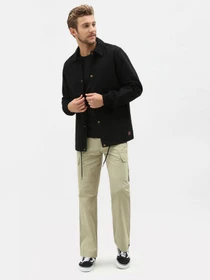 Футболки и поло Dickies модель DK621091BLK1 Фото