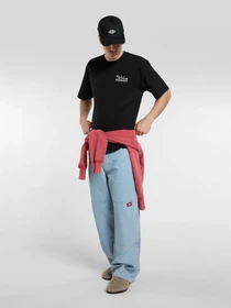 Джинсы Dickies модель DK0A88H4C151 Фото