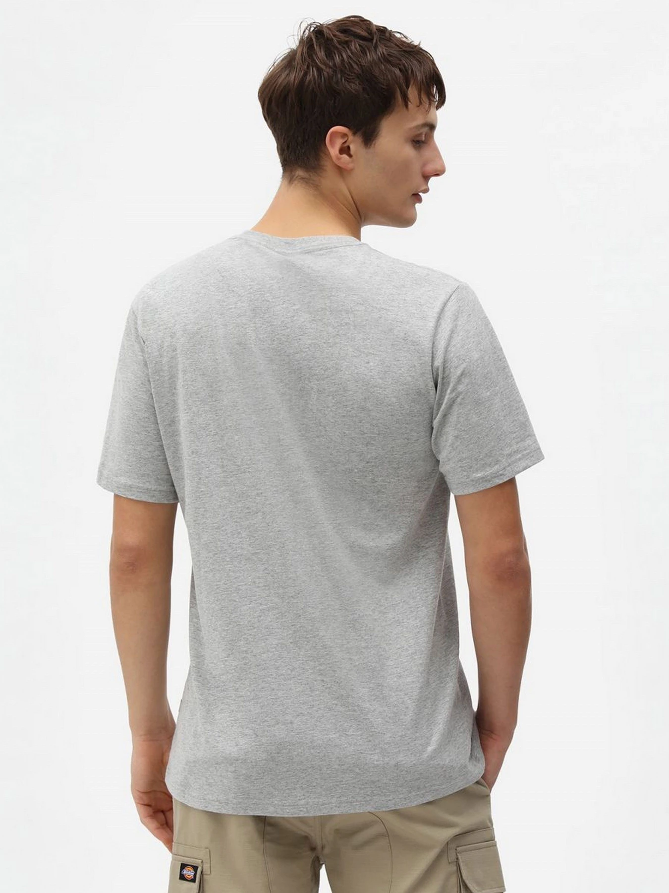 Футболки и поло Dickies модель DK0A4XDBGYM1 Футболки и поло Dickies модель DK0A4XDBGYM1 Фото
