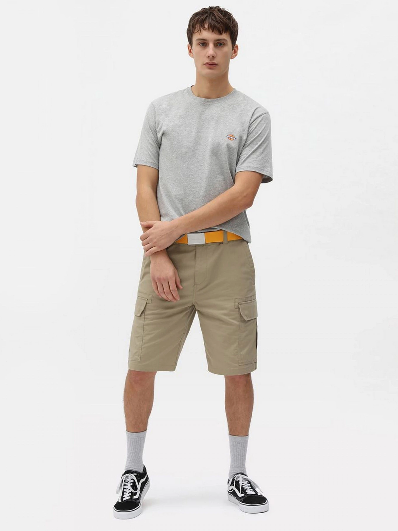 Футболки и поло Dickies модель DK0A4XDBGYM1 Футболки и поло Dickies модель DK0A4XDBGYM1 Фото