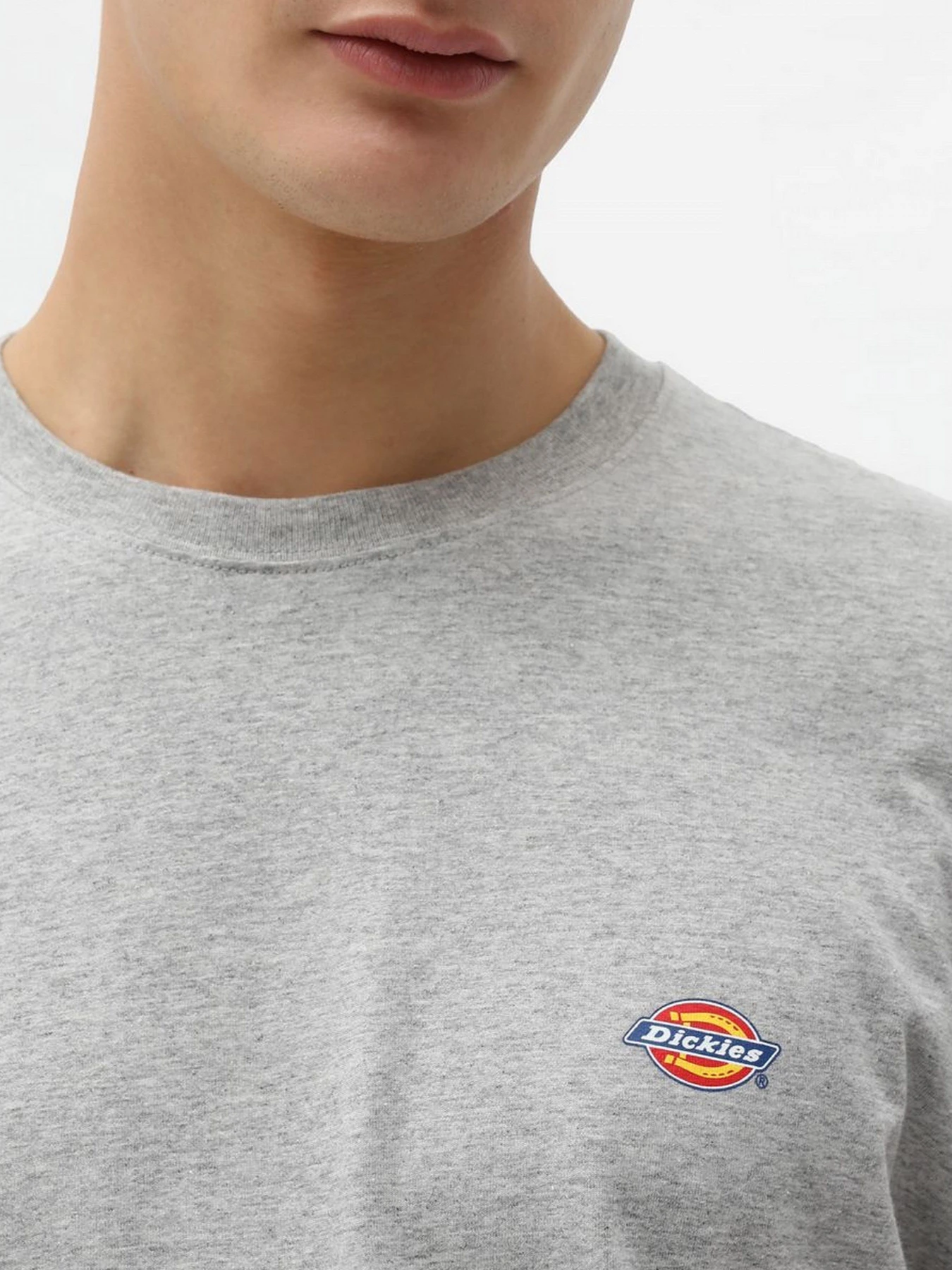 Футболки и поло Dickies модель DK0A4XDBGYM1 Футболки и поло Dickies модель DK0A4XDBGYM1 Фото