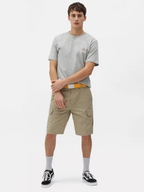 Футболки и поло Dickies модель DK0A4XDBGYM1 Фото