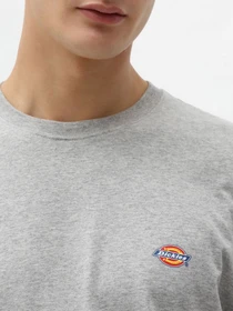 Футболки и поло Dickies модель DK0A4XDBGYM1 Фото