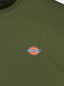 Футболки и поло Dickies модель DK0A4XDBK721 Фото