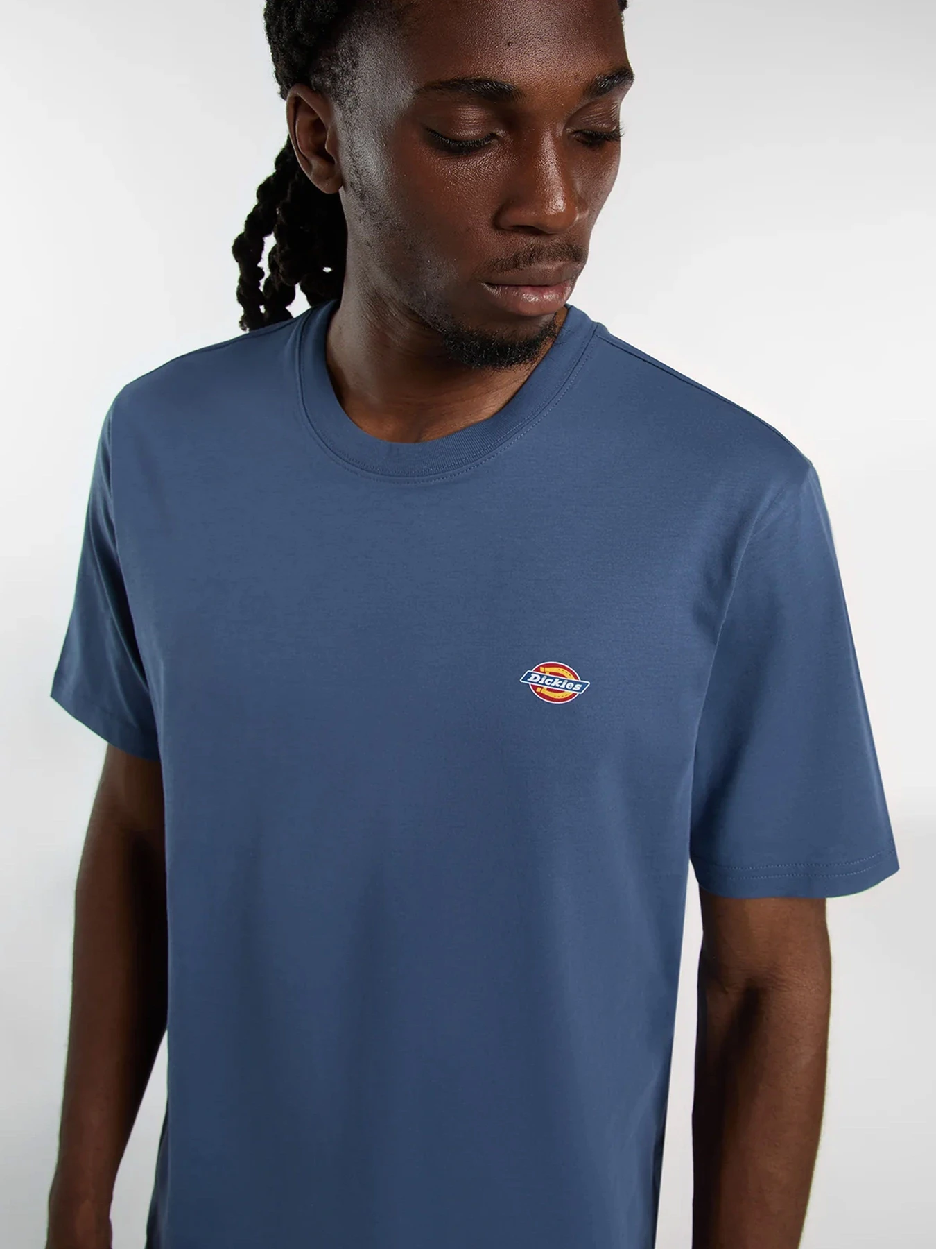 Футболки и поло Dickies модель DK0A4XDBRI21 Футболки и поло Dickies модель DK0A4XDBRI21 Фото