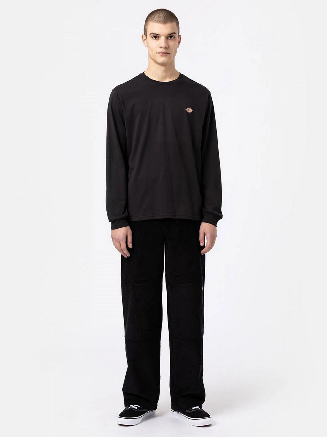 Футболки и поло Dickies модель DK0A4Y4RBLK1 Футболки и поло Dickies модель DK0A4Y4RBLK1 Фото