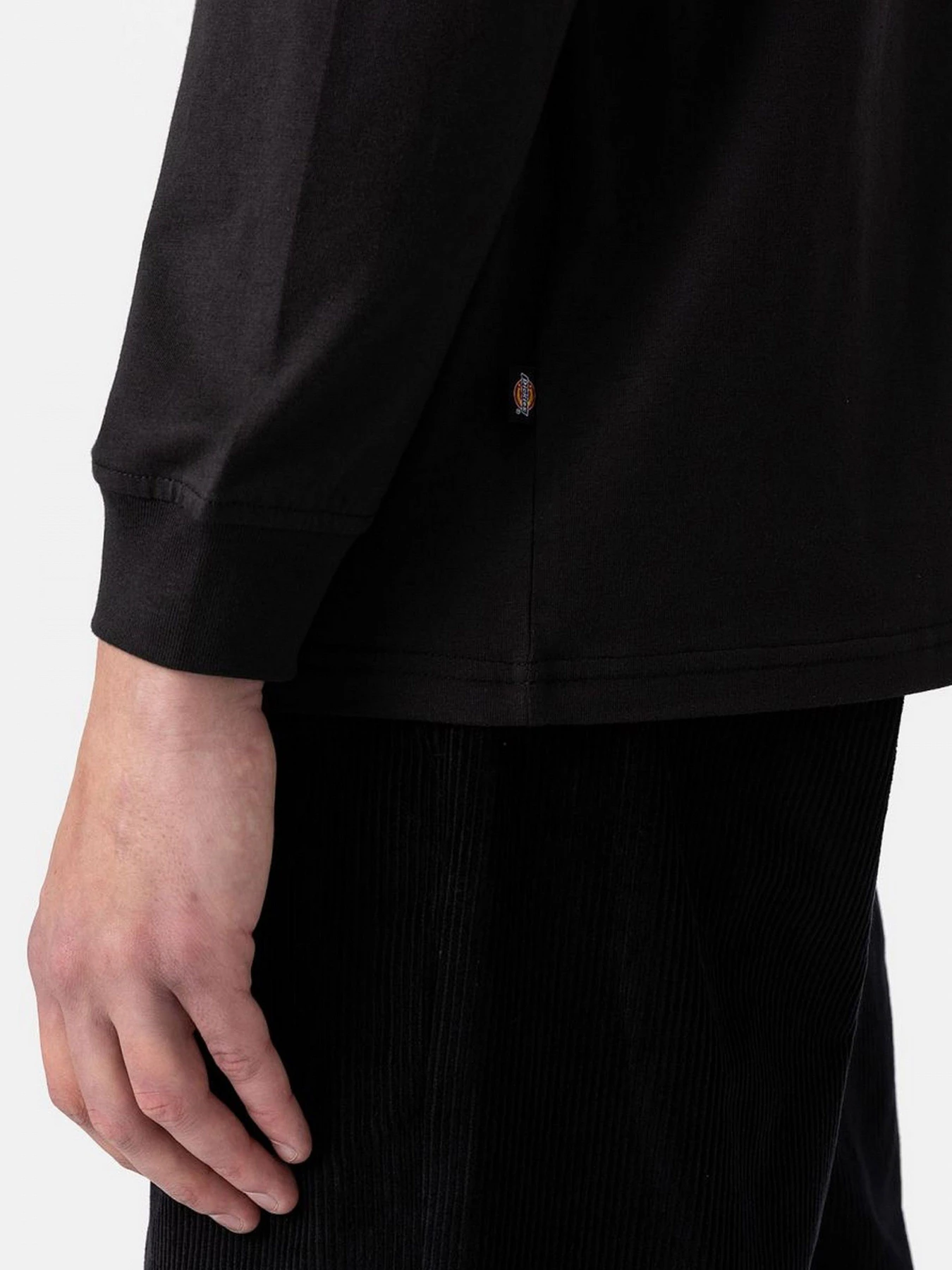 Футболки и поло Dickies модель DK0A4Y4RBLK1 Футболки и поло Dickies модель DK0A4Y4RBLK1 Фото
