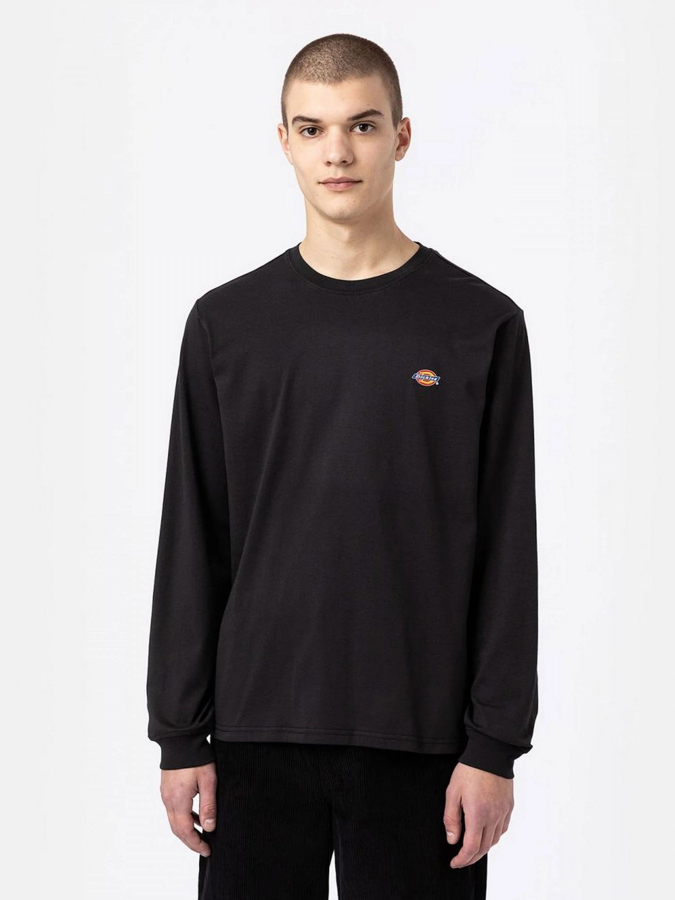 Футболки и поло Dickies модель DK0A4Y4RBLK1 Футболки и поло Dickies модель DK0A4Y4RBLK1 Фото