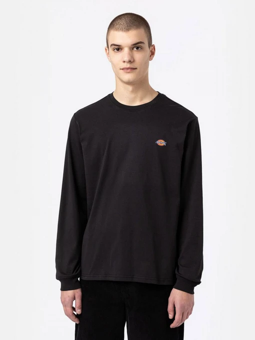 Футболки и поло Dickies модель DK0A4Y4RBLK1 Фото