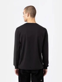 Футболки и поло Dickies модель DK0A4Y4RBLK1 Фото