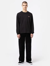 Футболки и поло Dickies модель DK0A4Y4RBLK1 Фото
