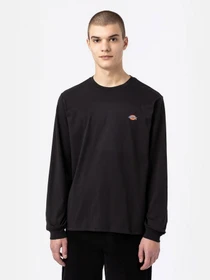 Футболки и поло Dickies модель DK0A4Y4RBLK1 Фото