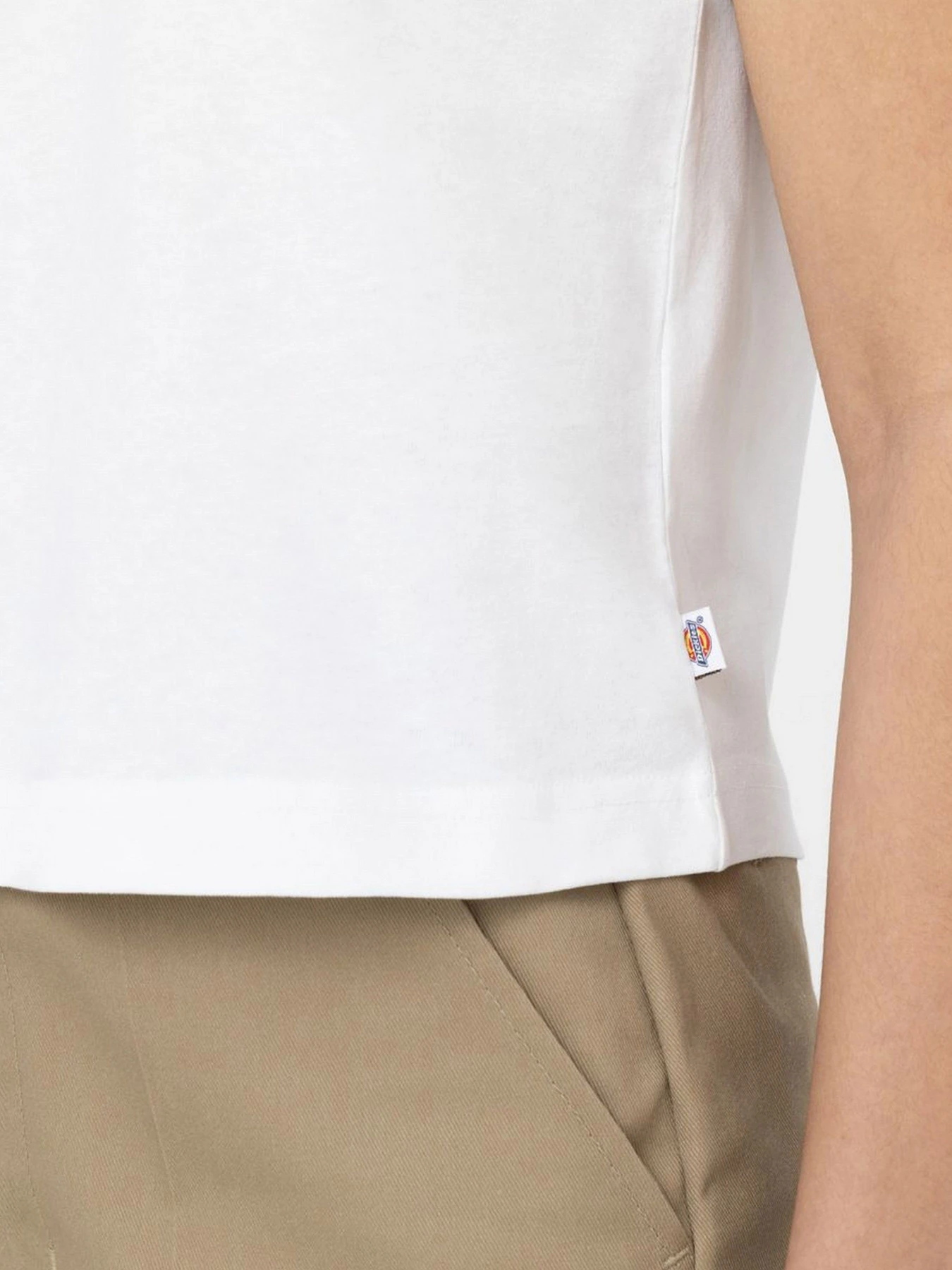Футболки и поло Dickies модель DK0A4Y8LWHX1 Футболки и поло Dickies модель DK0A4Y8LWHX1 Фото