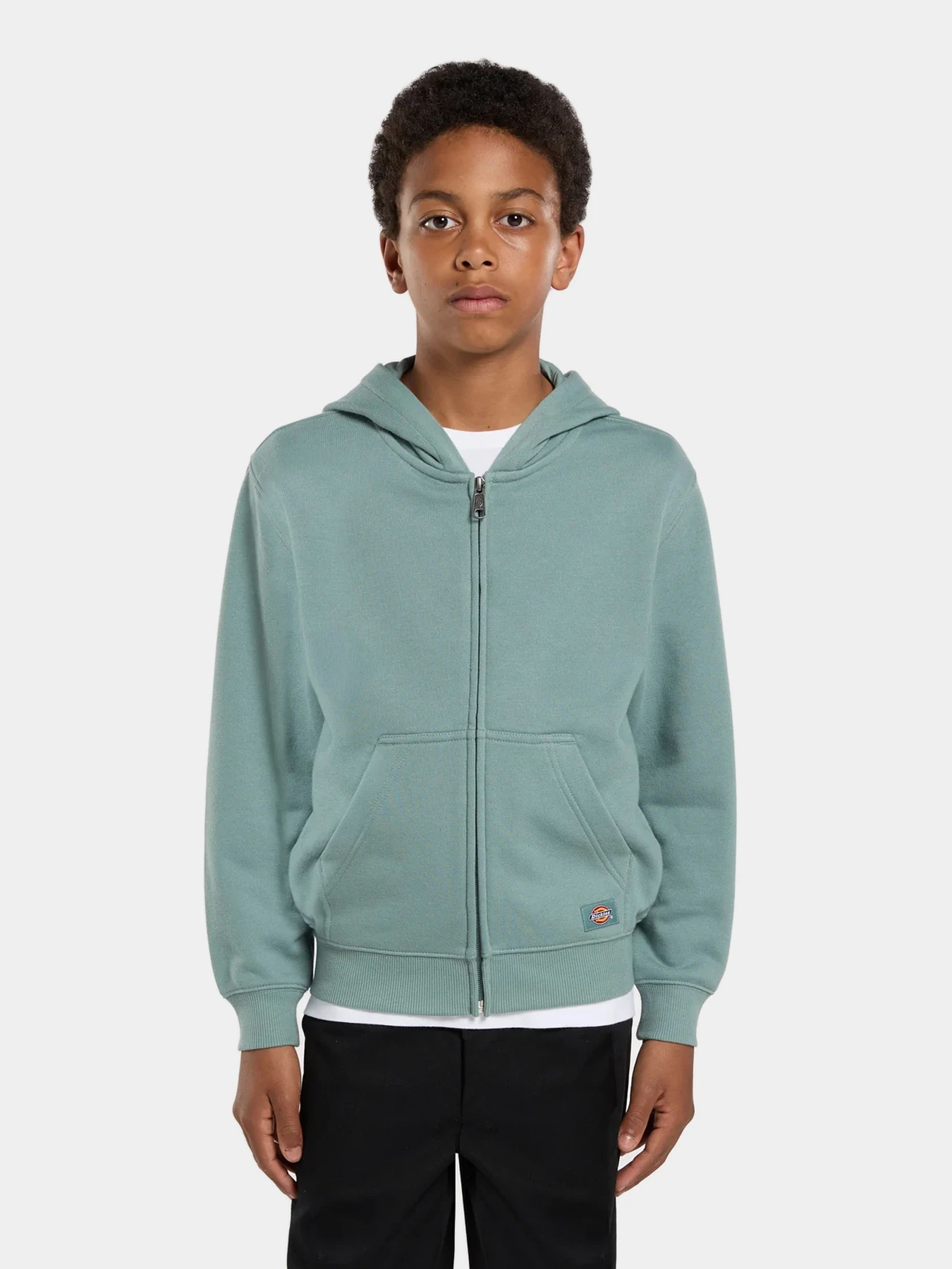 Худи и свитшоты Dickies модель DK0A4Z6WL371 Худи и свитшоты Dickies модель DK0A4Z6WL371 Фото